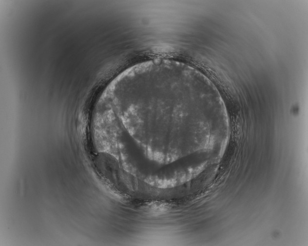 X0000097630742200803211809