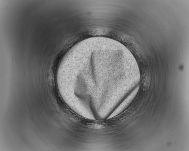 X0000097630743200803211809