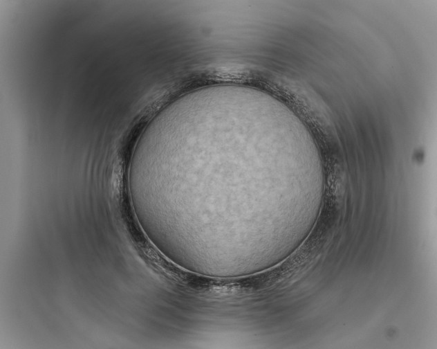 X0000097630744200803211809