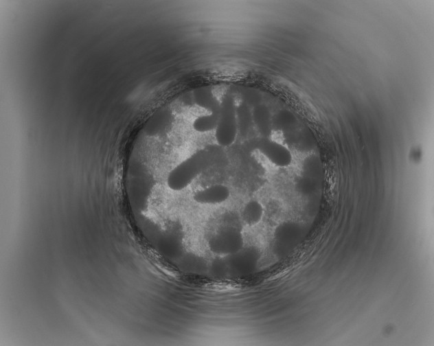 X0000097630745200803211809