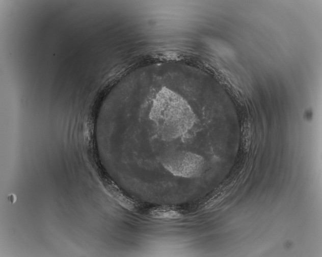 X0000097630747200803211809