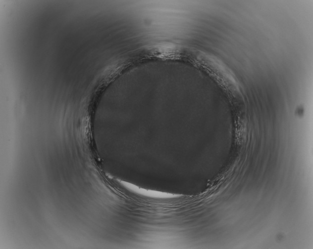 X0000097630748200803211809