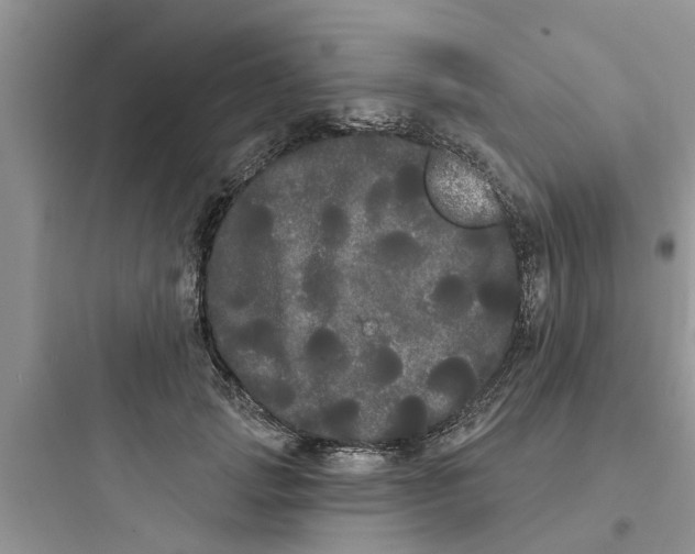 X0000097630749200803211809