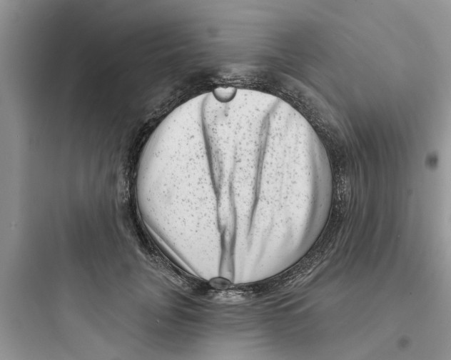 X0000097630751200803211809