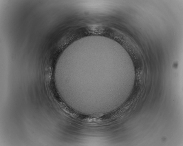 X0000097630752200803211809