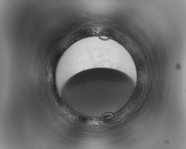 X0000097630754200803211809