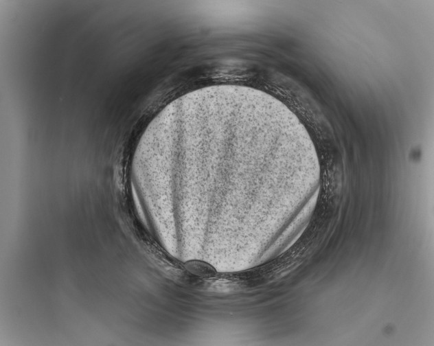 X0000097630755200803211809