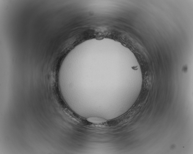 X0000097630756200803211809