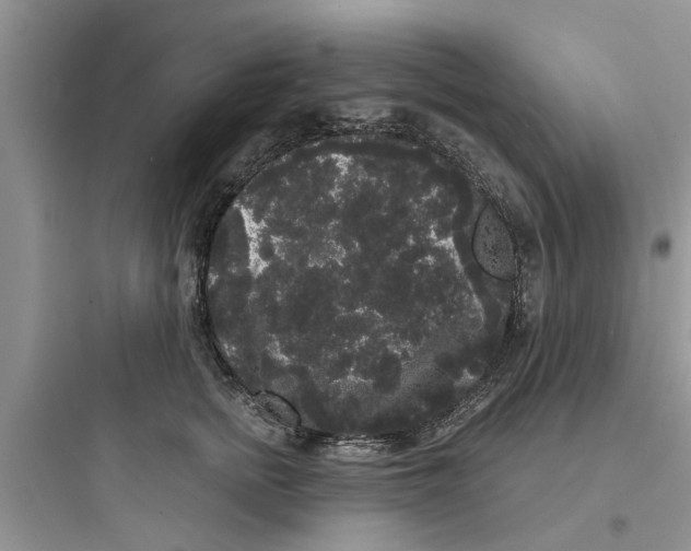 X0000097630758200803211809