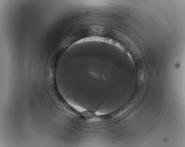 X0000097630759200803211809