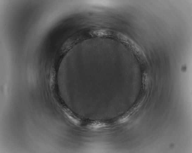 X0000097630760200803211809