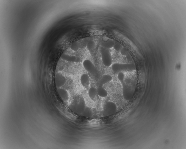 X0000097630761200803211809