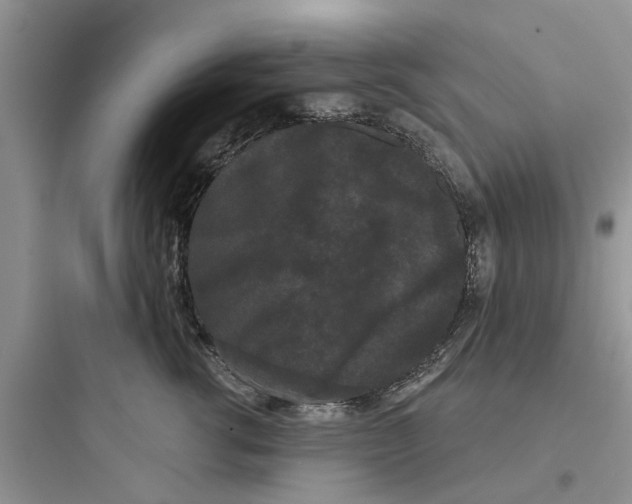 X0000097630762200803211809