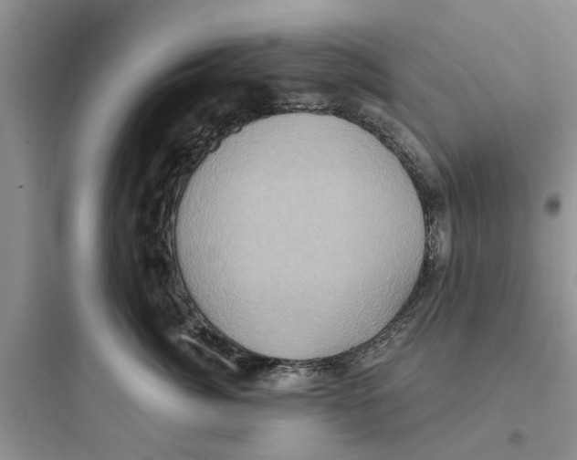 X0000097630764200803211809