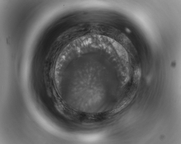 X0000097630765200803211809