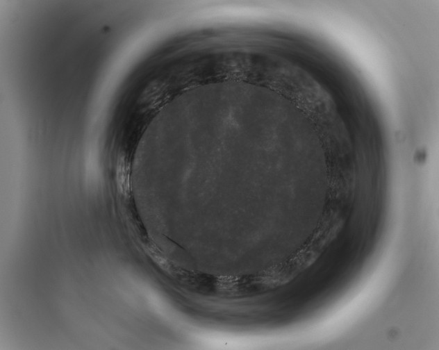 X0000097630766200803211809