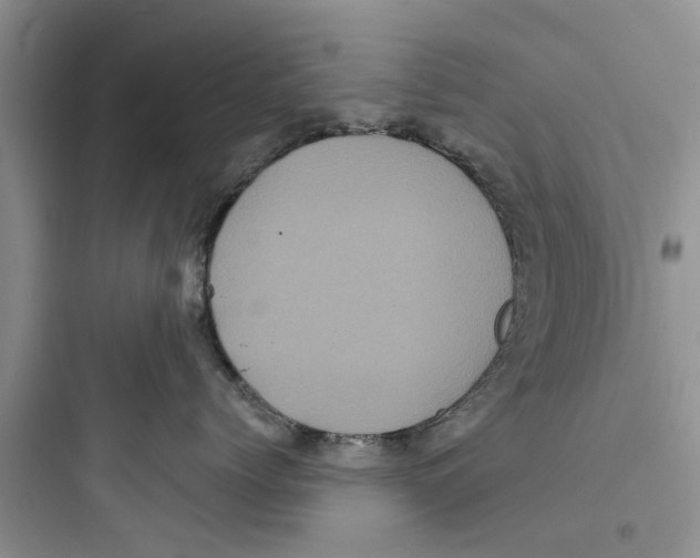 X0000097630768200803211809