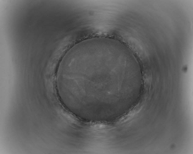 X0000097630769200803211809