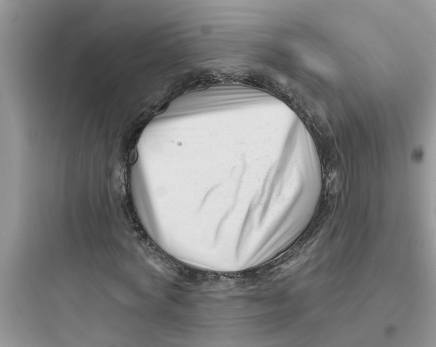 X0000097630772200803211809