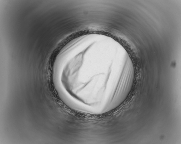 X0000097630776200803211809