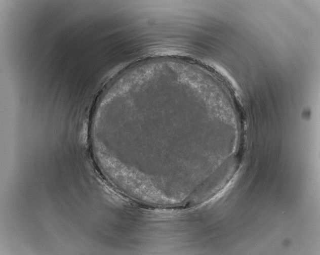 X0000097630777200803211809