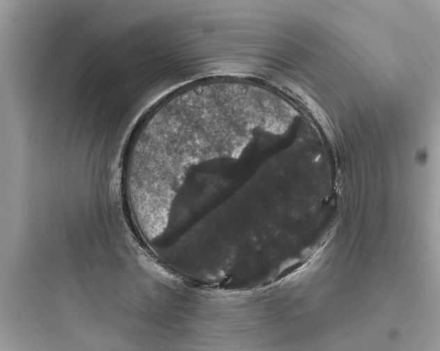 X0000097630779200803211809