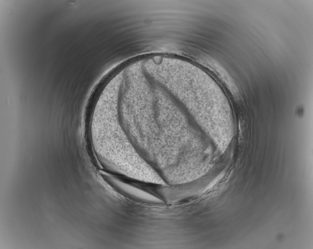 X0000097630780200803211809