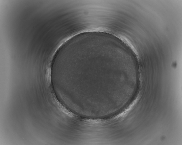 X0000097630781200803211808