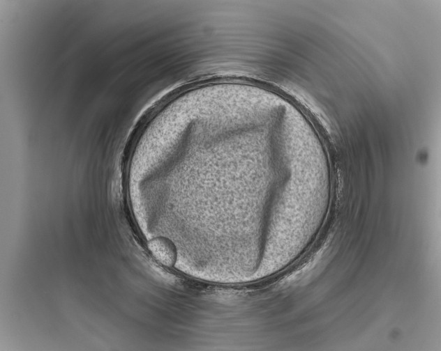 X0000097630782200803211808