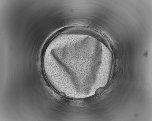 X0000097630784200803211808