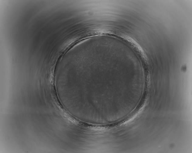 X0000097630785200803211808