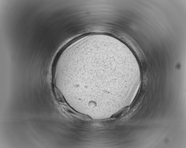 X0000097630787200803211808