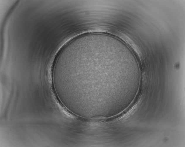 X0000097630789200803211808