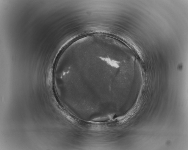 X0000097630790200803211808