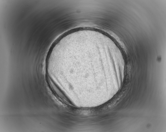 X0000097630791200803211808