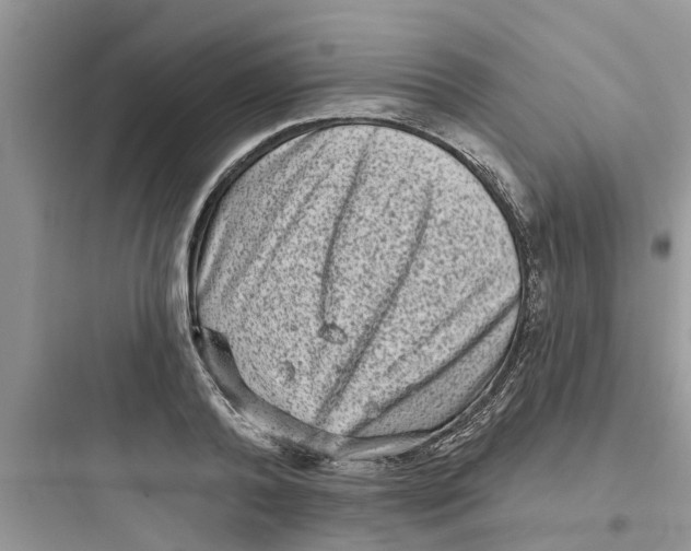 X0000097630792200803211808