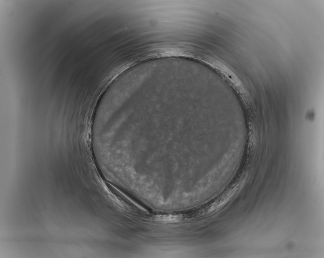 X0000097630793200803211808