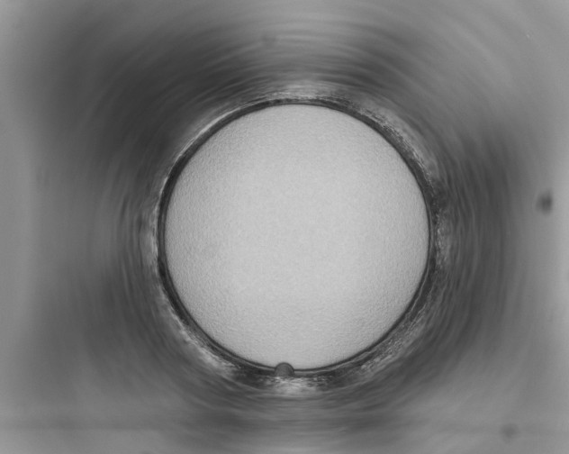 X0000097630794200803211808