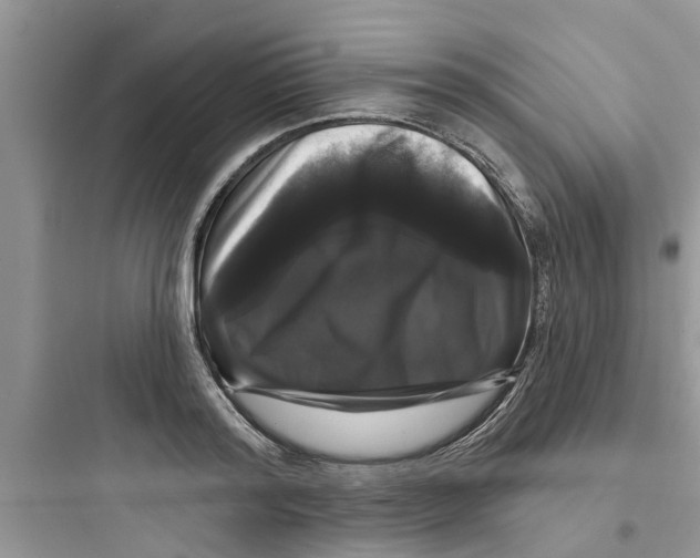 X0000097630796200803211808