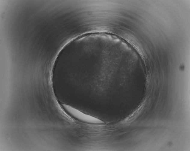 X0000097630797200803211808