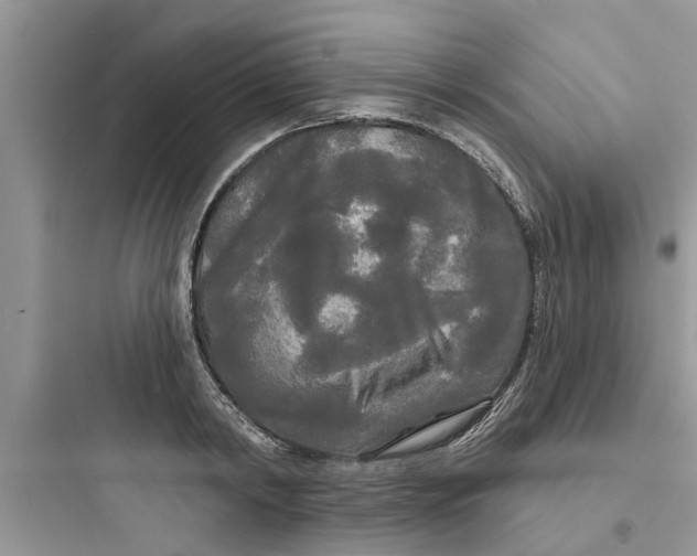 X0000097630798200803211808