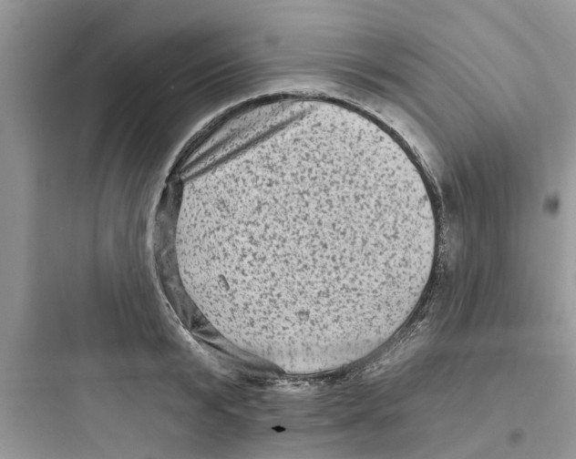 X0000097630799200803211808