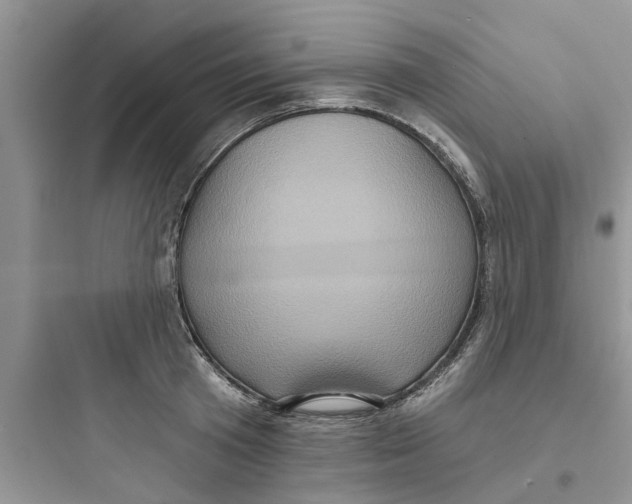 X0000097630801200803211808