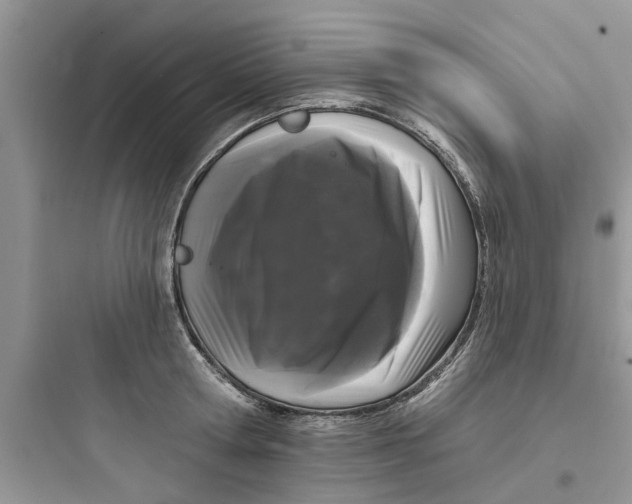 X0000097630802200803211808