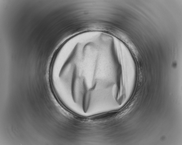 X0000097630803200803211808