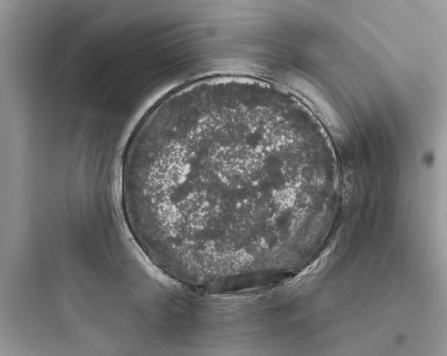 X0000097630804200803211808