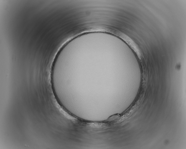 X0000097630805200803211808