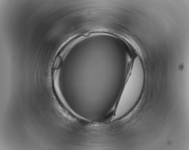 X0000097630806200803211808