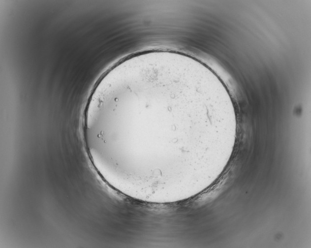 X0000097630807200803211808