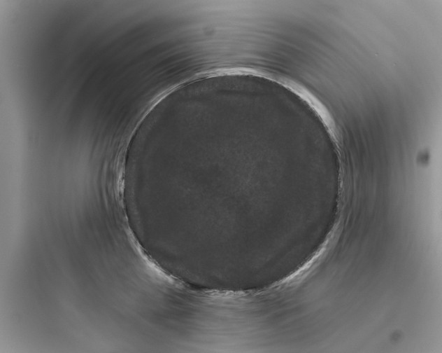 X0000097630809200803211808